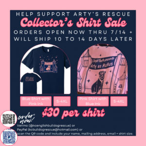 Support Arty's Rescu