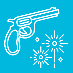 Prohibited items: guns and fireworks