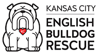 Kansas City English Bulldog Rescue