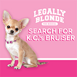 Starlight Casts Local Dogs to Star in Legally Blonde The Musical