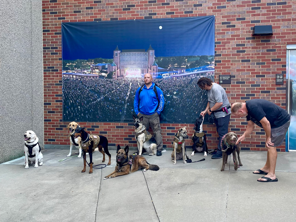 Service dogs posing for a picture