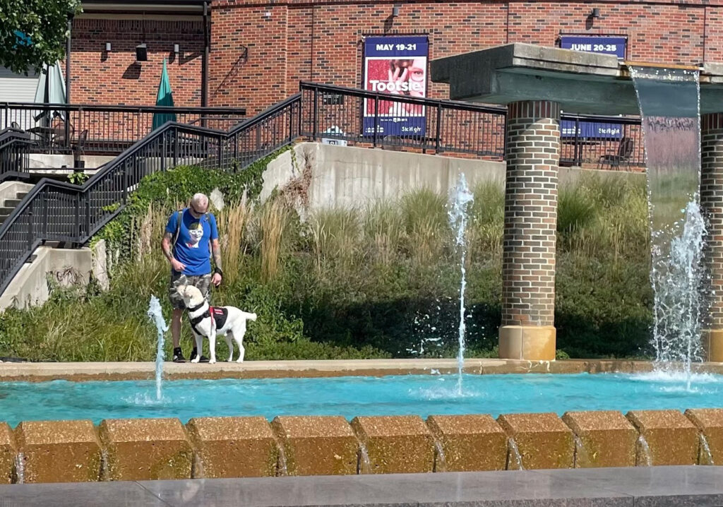 A white dog and owner walk around the fountain at Starlight