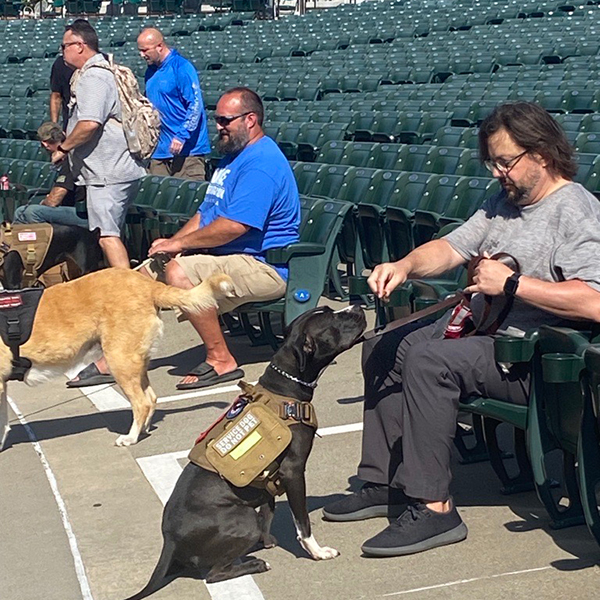 Several people training service dogs at Starlight